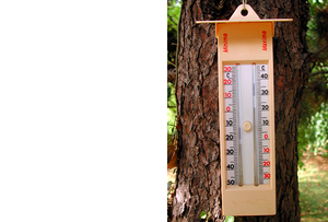 minimum-maximum thermometer