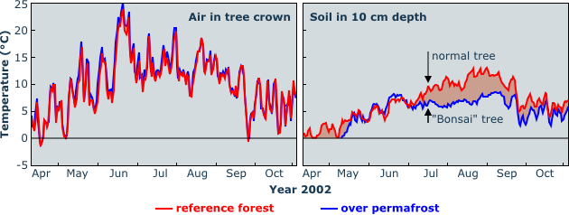 air and soil temperature