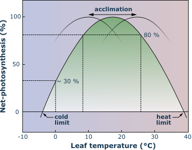 temperature response of leaf photosynthesis